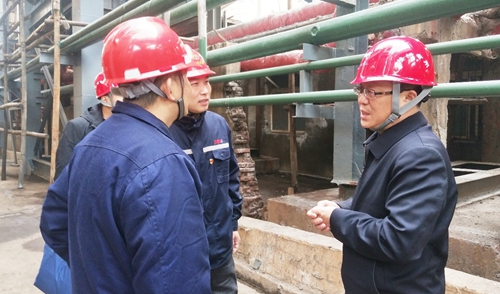 王大真到雙環(huán)公司現(xiàn)場調研并組織召開干部大會(圖1)