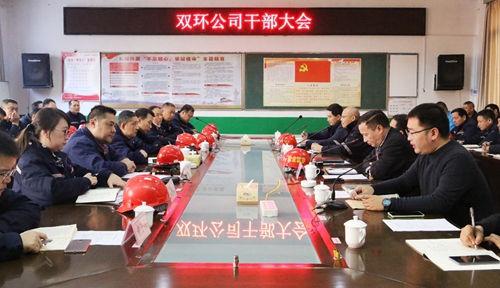 王大真到雙環(huán)公司現(xiàn)場調研并組織召開干部大會(圖2)