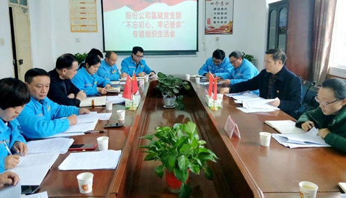 向宇飛列席指導股份公司氯堿黨支部“不忘初心、牢記使命”專題組織生活會(圖1)