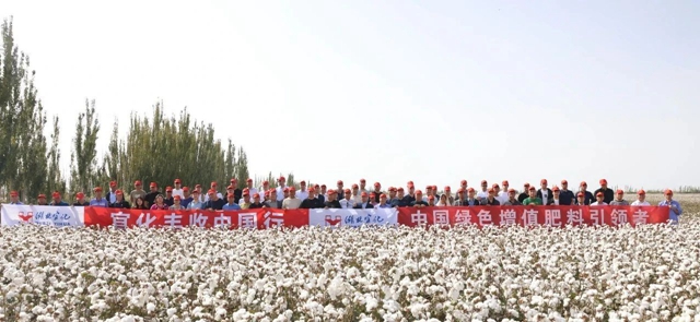 宜化豐收中國(guó)行！新疆棉花大型測(cè)產(chǎn)觀摩會(huì)成功舉行